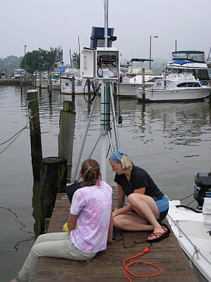 researchers in dyke marsh