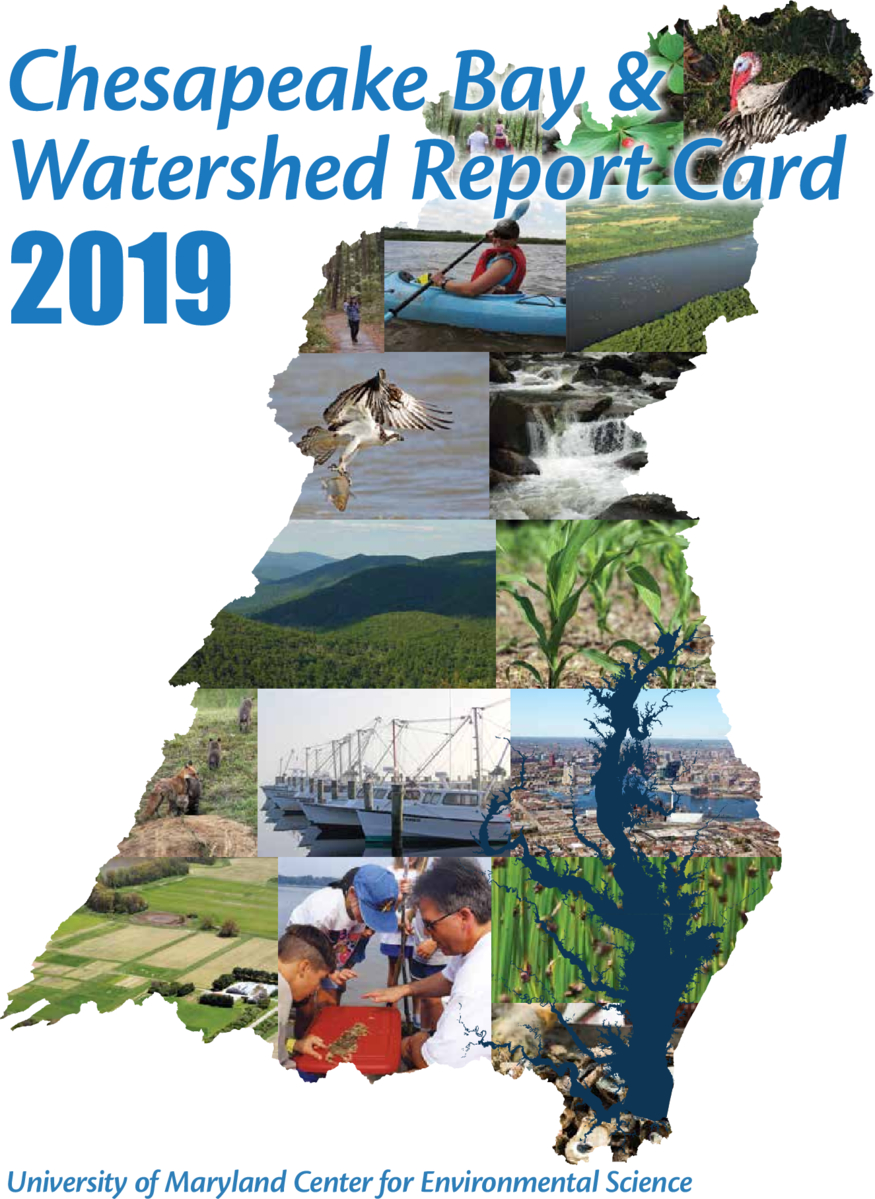 2019 Chesapeake Bay & Watershed Report Card | University Of Maryland ...