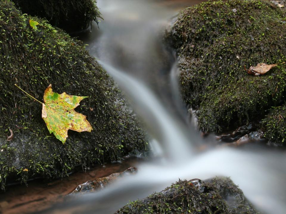 stream of water over rocks 