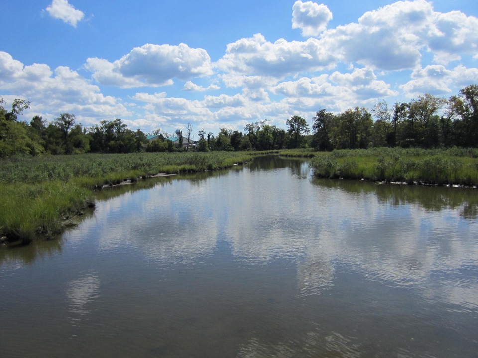 Horn Point Laboratory | University of Maryland Center for Environmental ...