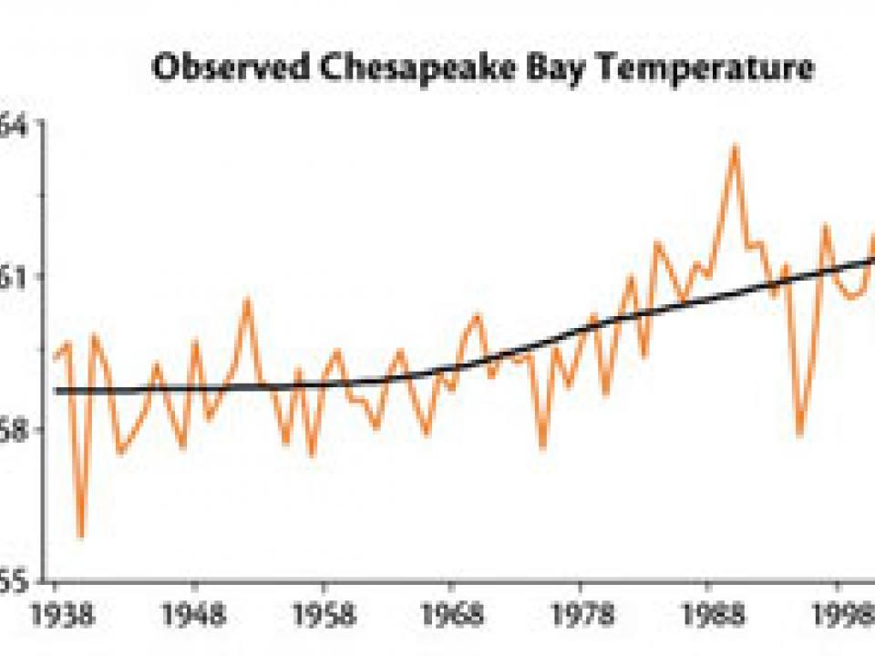 One of the most important data sets collected at the pier documents a significant warming of Chesapeake Bay water temperatures since 1938.