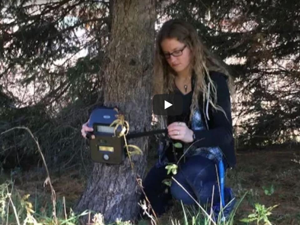 Claire Nemes attaching trail camera to tree. 