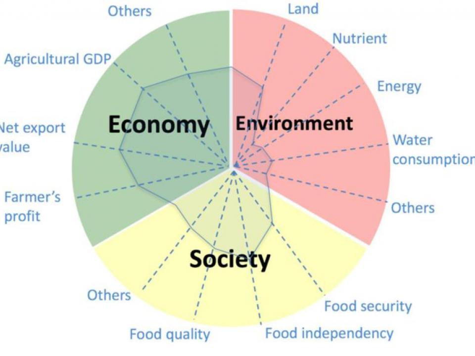 UMCES Scientists Helping UN Reach Sustainable Goals | University Of ...