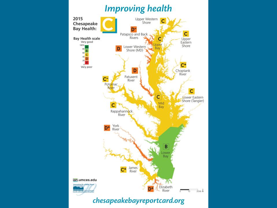 Chesapeake Bay Report Card Shows Progress | UMCES