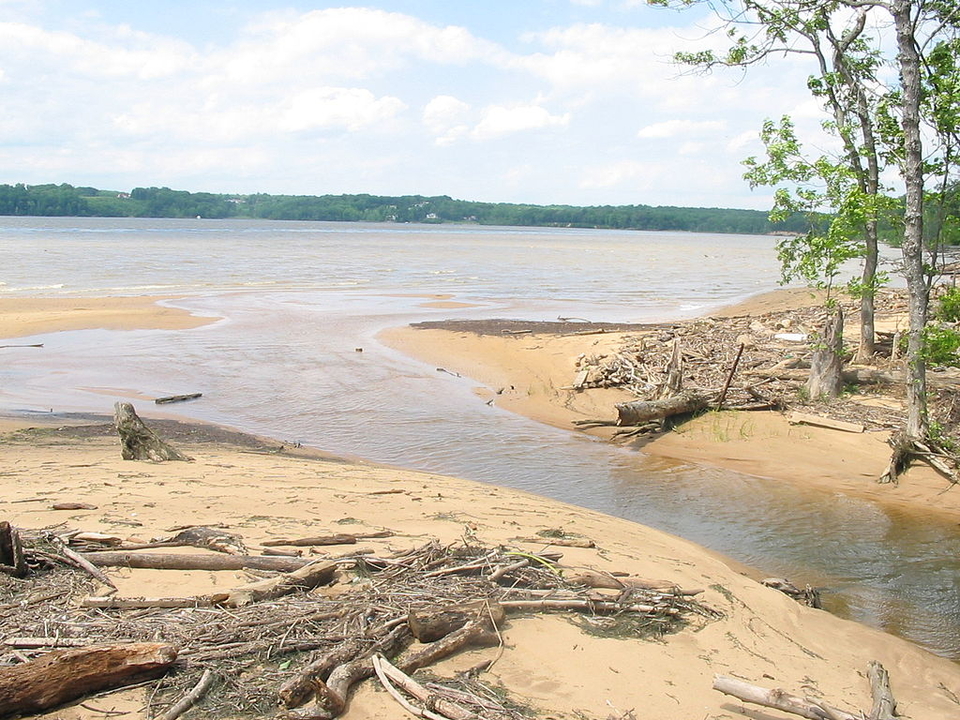 Photo of Mason Neck State Park where creek enters Potomac River