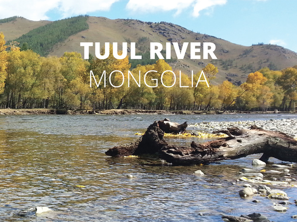 Cover image of Tuul River report card