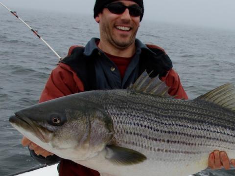 UMCES' Chesapeake Biological Laboratory alumnus Adam Peer holds a striped bass (rockfish).