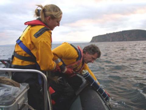 Retrieving a hydrophone that can detect dolphin and porpoise echolocation clicks. Courtesy of University of Aberdeen.