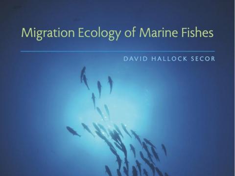 David Secor's "Migration Ecology of Marine Fishes,” is a follow up to legendary fisheries scientist Harden Jones’ classic “Fish Migration,” which presented the general concept of fish migration for the first time nearly 50 years ago.