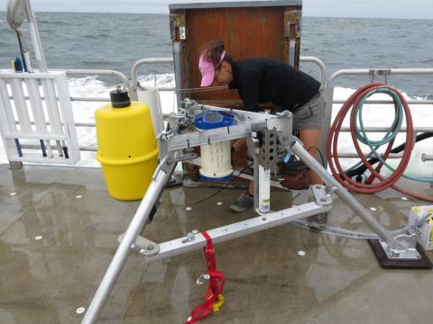 CBL Graduate Research Assistant Lauren Gelesh, Laura Lapham’s student, placed several pump-like instruments at the bottom of the Bay to continuously collect water samples before, during, and after waters went hypoxic. 