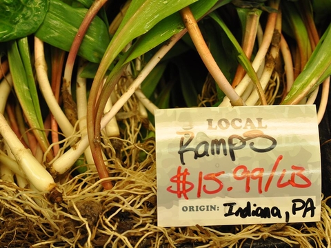 Ramps for sale. Credit: Penn State University