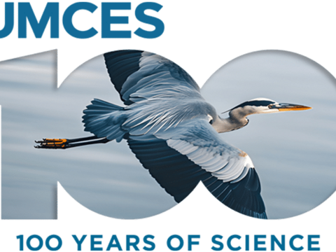 UMCES Centennial logo