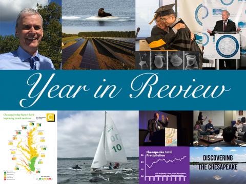 2017 year in review images