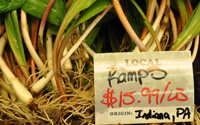 Ramps for sale. Credit: Penn State University