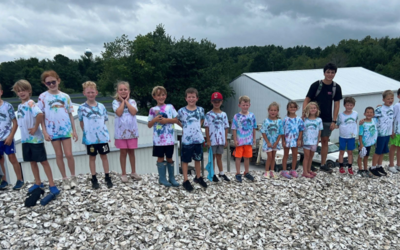 Groups of children participating in activities at Toadfish Adventures camp in 2024