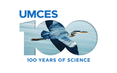 UMCES Centennial Logo, featuring the Number 100 with an image of a heron within the numbers