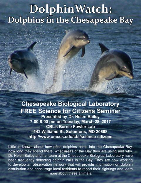 Poster promoting DolphinWatch 2017 spring seminar