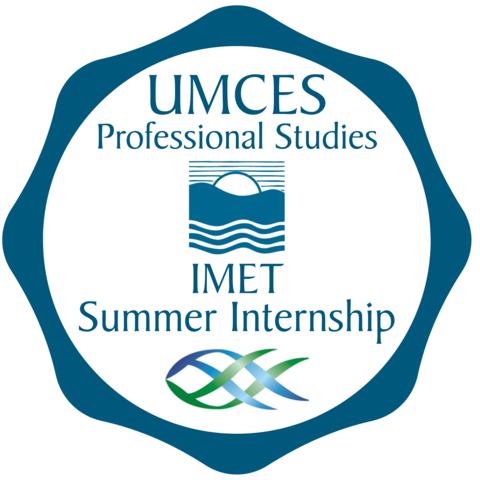 IMET Summer Internship Logo