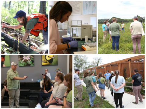 Collage of photos from summer 2024 including action shots of interns at a solar farm and avian rescue and research sites. Additional photos include an intern preparing samples in a lab and an intern collecting samples on a forested hillside. 