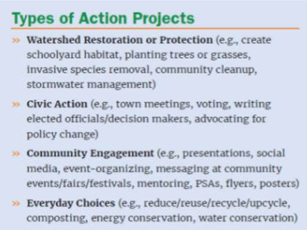 Types of Action Projects