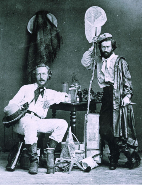 Photo of Ernst Haeckel