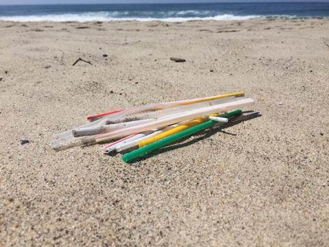 Plastic straws on the beach