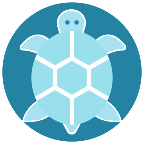 icon of turtle