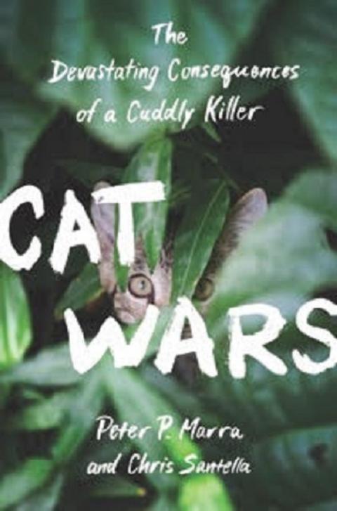 Cover of Cat Wars by Peter Marra 