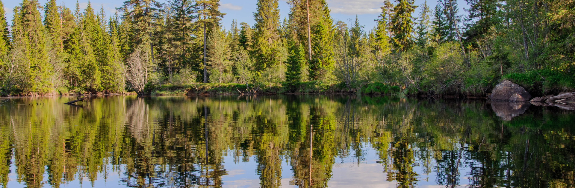 Boreal lake of Sweden. Credit: Michael Gonsior, UMCES